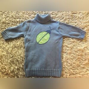 Lilly Pulitzer Women’s Turtleneck Sweater short sleeves sz MD Ladybug Embroidery